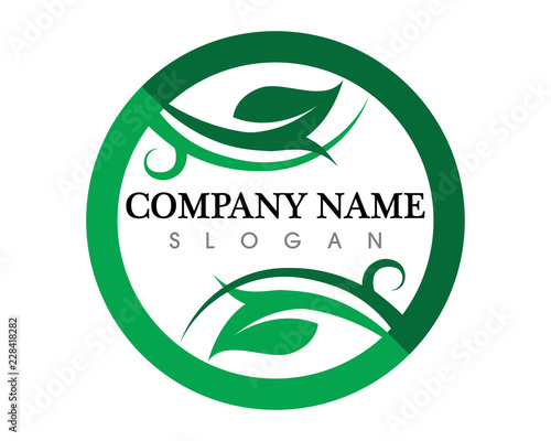 leaf green nature logo and symbol template Vector