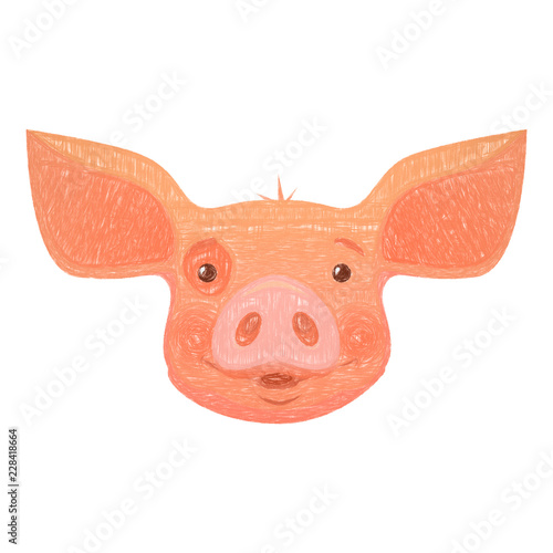 head of pink pig photo