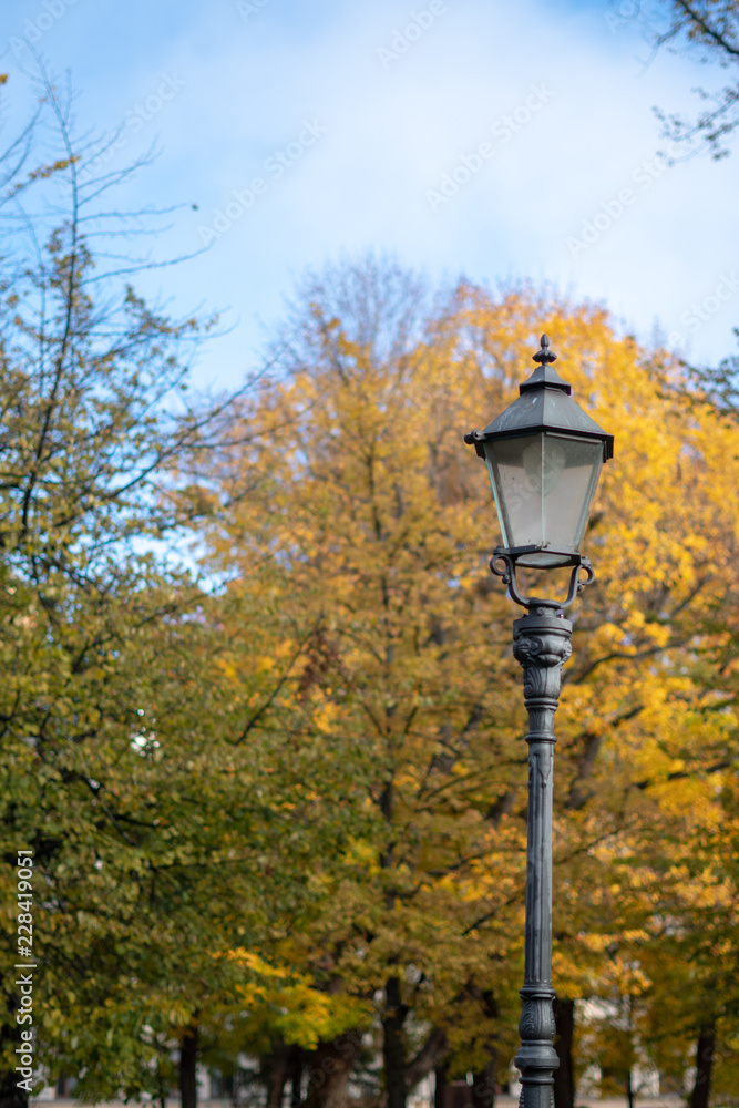Lamppost in the autumn park