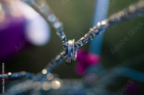 wedding rings on branch