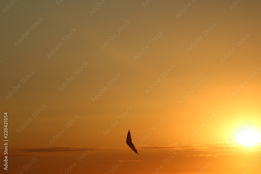 Fototapeta premium sunset
