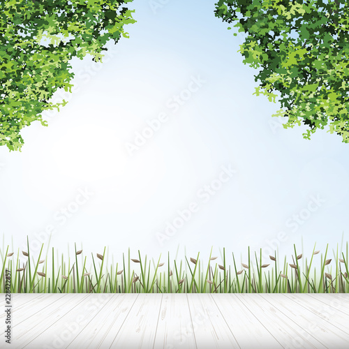 Wooden floor with framing of green tree for outdoor abstract background. Vector.