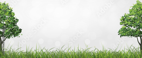 Framing of green tree in green field area with bokeh background. Vector.