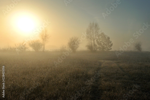Beautiful landscape with fog at sunrise. Forest with fog. Autumn morning