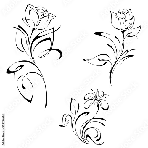 stylized rose flowers on stems with leaves black lines on white background. SET