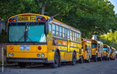 Bright yellow school buses parked on the road
