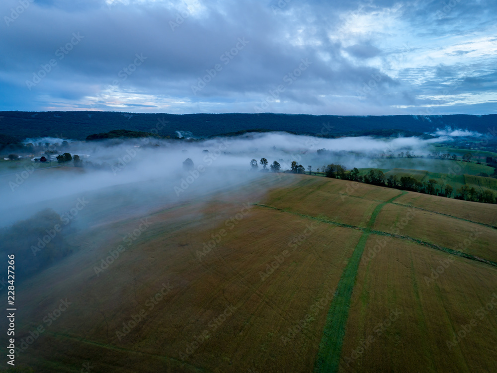 Field in the Mist