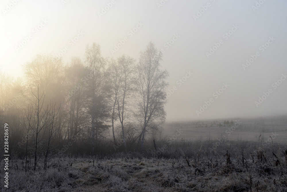 Beautiful landscape with fog at sunrise. Forest with fog. Autumn morning Beautiful landscape with fog at sunrise. Forest with fog. Autumn morning