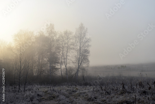 Beautiful landscape with fog at sunrise. Forest with fog. Autumn morning