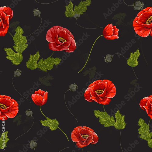 Delicate seamless pattern with poppies. Vector illustration.