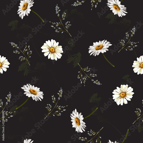 Delicate seamless pattern with chamomile . Vector illustration.