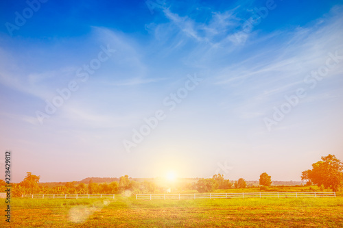 Beautiful green meadow with blue sky and sun nature background.
