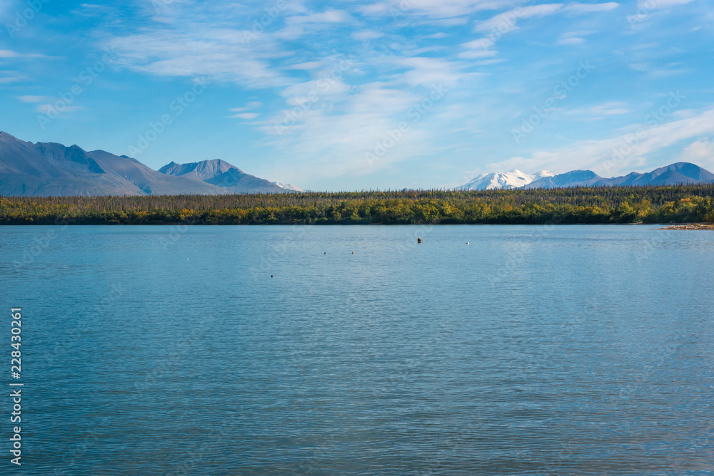 Alaskan landscape in fall color, Naknek Lake with brown bears fishing in the distance, mountains, white clouds in blue sky, Katmai National Park, Alaska, USA
