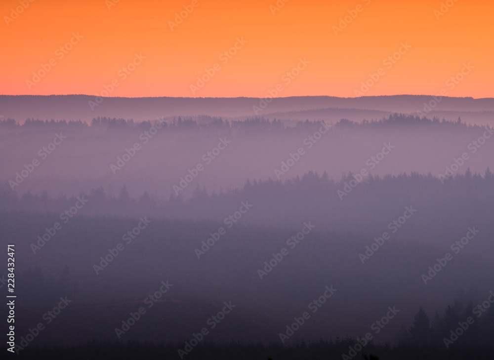 Fototapeta premium Colorful image of a pine tree forest in haze from a fire nearby at sunrise