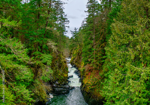 Panoramic view of the Englishman River Falls in Vancouver Island  BC Canada