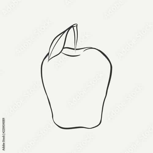 Outline black and white image of a apple. Vector Graphics.