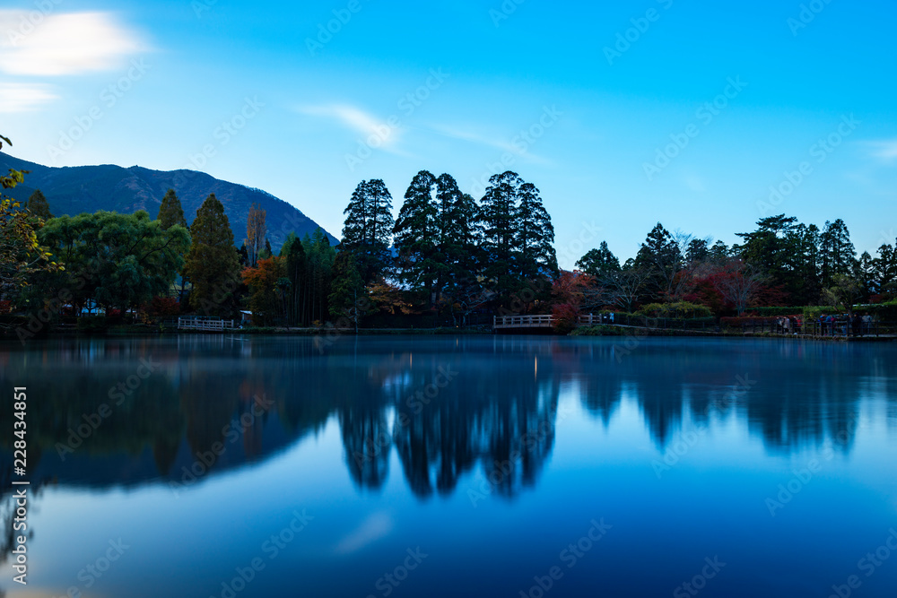 Fototapeta premium 金鱗湖