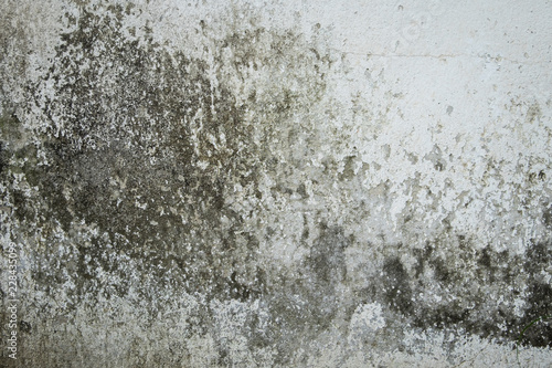 Abstract grunge background old weathered concrete wall. © korkeng