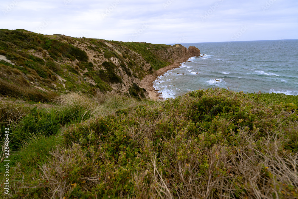 Nature and landscape view at a seashore