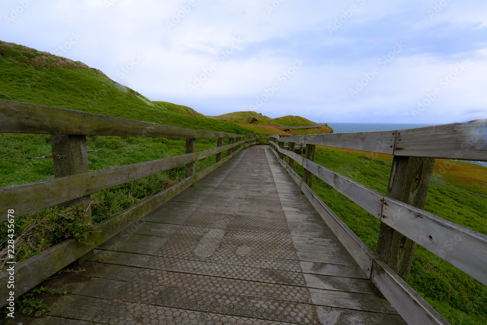 Beautiful nature view side by ocean