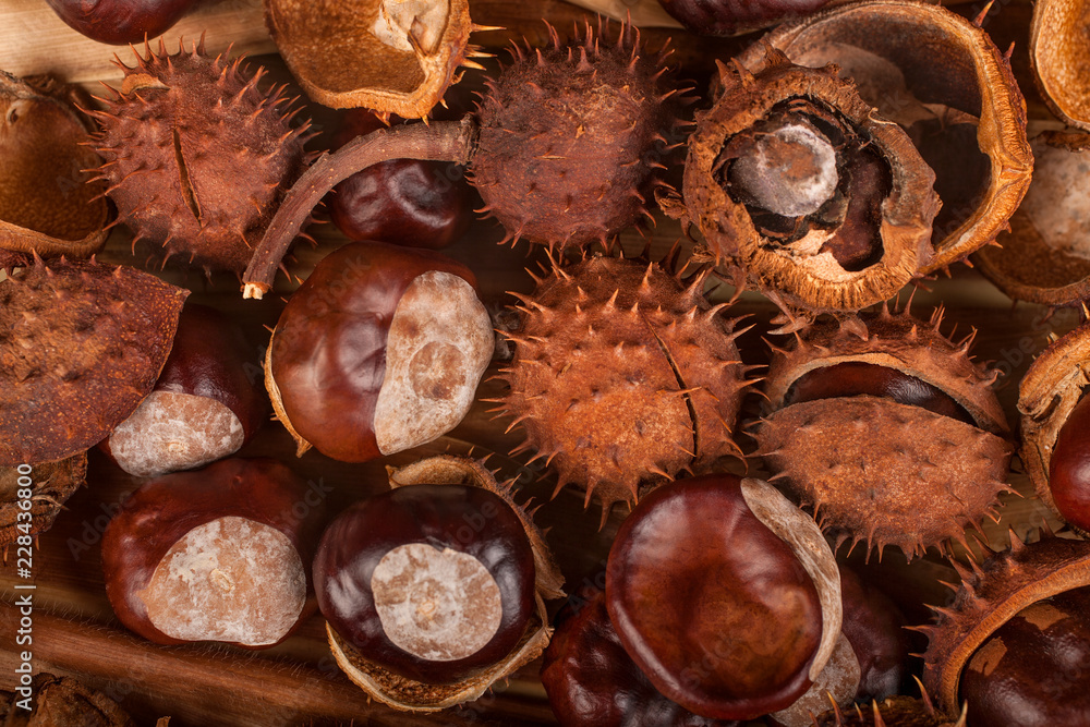 Chestnuts as a background, the concept of autumn fruits in autumn colors Chestnuts as a background, the concept of autumn fruits in autumn colors