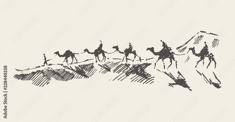 Caravan of camels desert drawn vector illustration