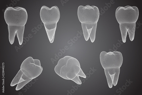 vector set of 3d teeth for dental medicine.
