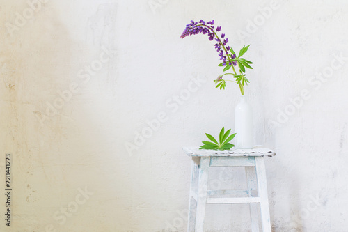 summer flowers in vase on white background