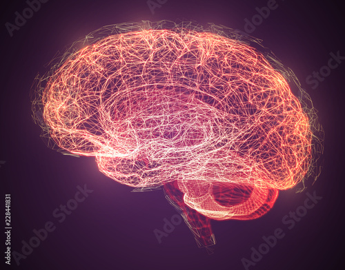 Vector illustration, three-dimensional brain on a dark background