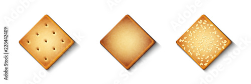 vector set of festive ginger biscuits with sesame seeds isolated