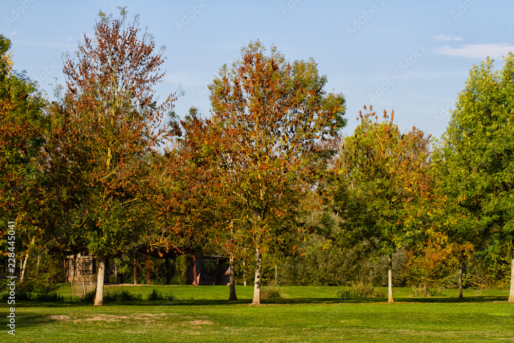 autumn in the park autumn in the park