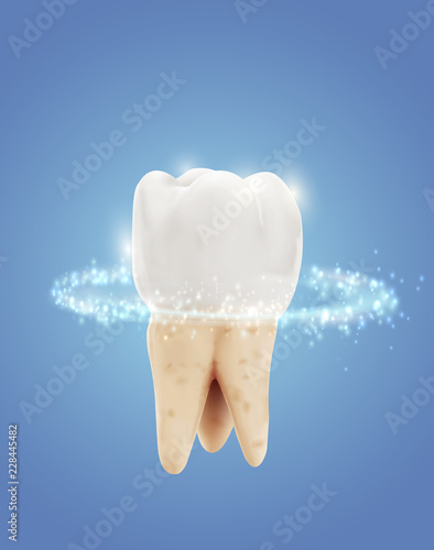 vector molar tooth. beauty and health. tooth cleaning and personal care