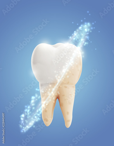 vector molar tooth. beauty and health. tooth cleaning and personal care