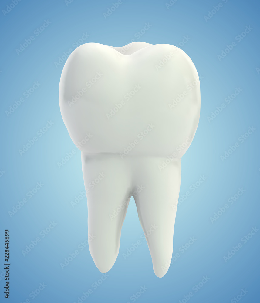 vector molar tooth. beauty and health. tooth cleaning and personal care vector molar tooth. beauty and health. tooth cleaning and personal care