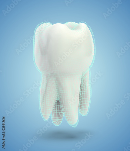 vector molar tooth. beauty and health. tooth cleaning and personal care