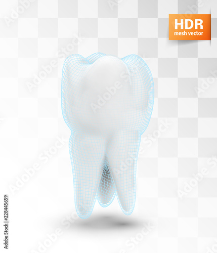 vector molar tooth. beauty and health. tooth cleaning and personal care
