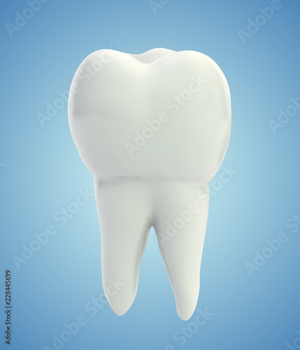 vector molar tooth. beauty and health. tooth cleaning and personal care