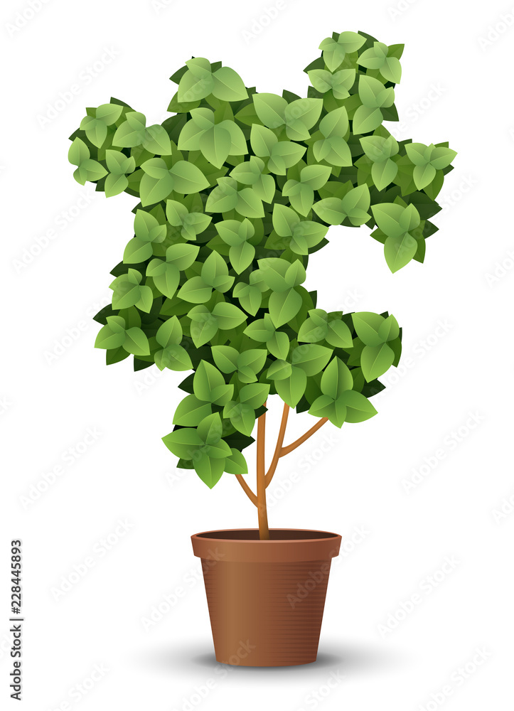 vector large green tree grows from a flowerpot. concept of spring and summer, harvest and ascen vector large green tree grows from a flowerpot. concept of spring and summer, harvest and ascen
