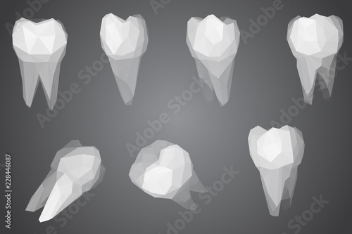 vector set of 3d teeth for dental medicine.