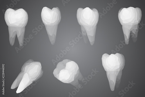 vector set of 3d teeth for dental medicine.