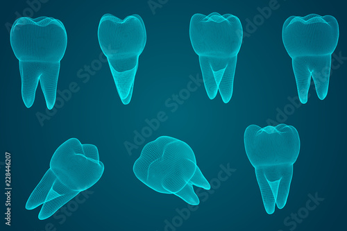 vector set of 3d teeth for dental medicine. on a blue background