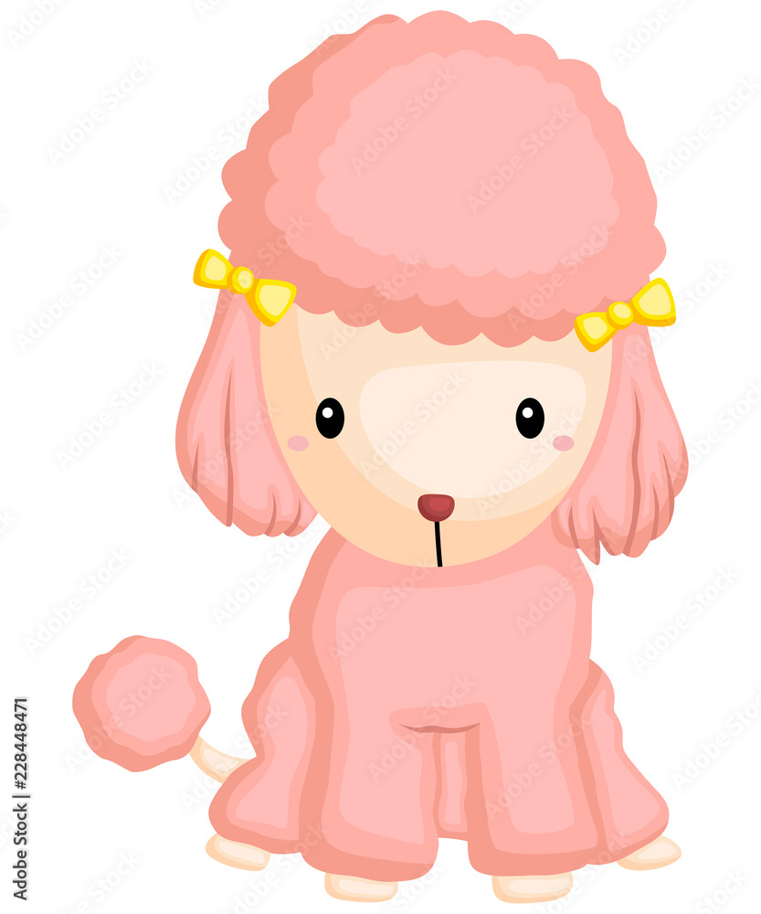a happy and adorable poodle pure breed dog a happy and adorable poodle pure breed dog