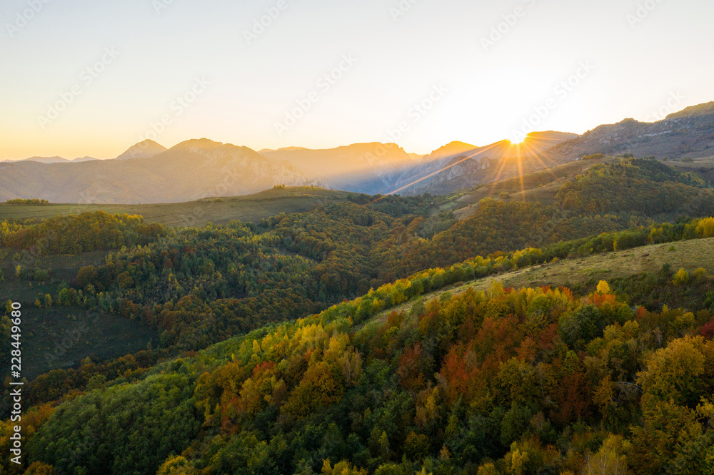 Aerial view of autumn forest in sunset lights