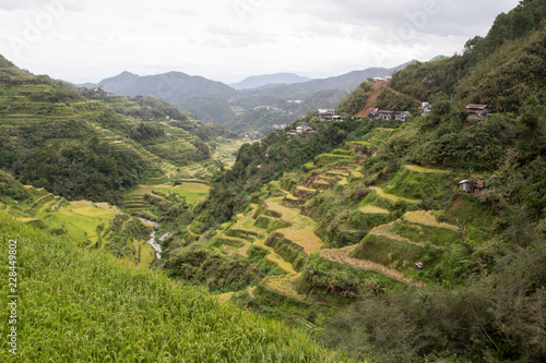 Breathtaking rice terraces in Batad, Banaue, Philippines