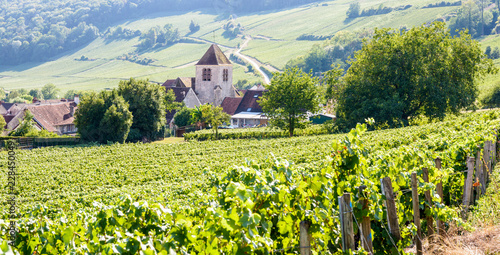 Panoramic view over the small village of Bonneil, France, and its medieval steeple in the Champagne vineyard with rows of grapevine in the foreground and on the hillside in the background.