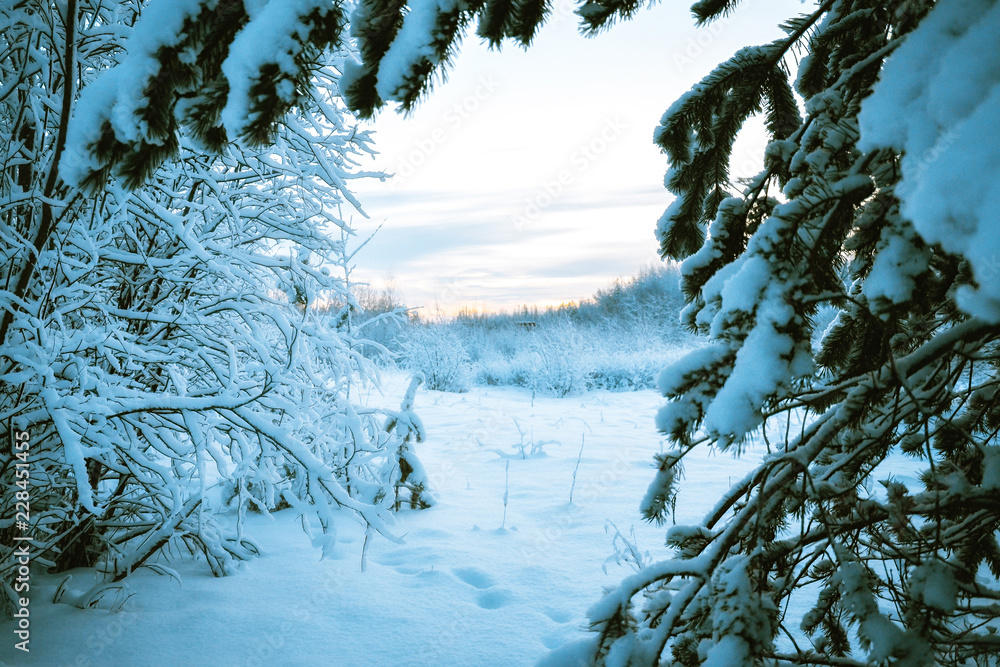 winter Northern landscape