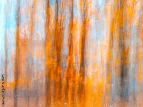 Blurred Tree Trunks At A City Park With Golden Autumn Leaves. Intentional Camera Movement ICM. Fall Fine Art Design.
