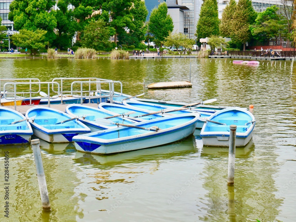Obraz premium 公園の池とボート