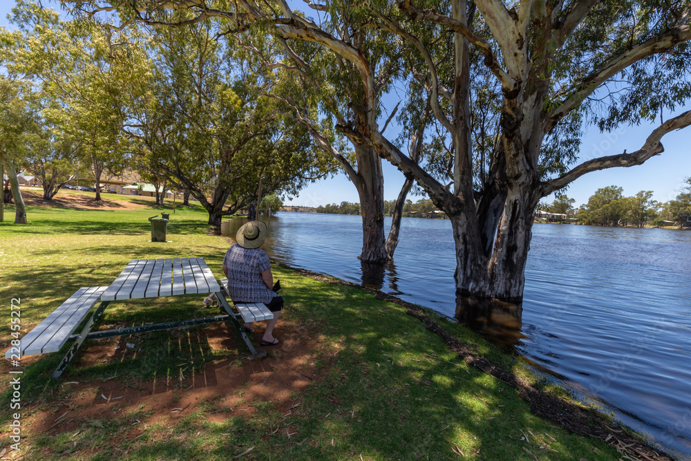 Mature women sitting at park bench enjoying the view of the Murray River at Morgan in South Australia in flood. Mature women sitting at park bench enjoying the view of the Murray River at Morgan in South Australia in flood.