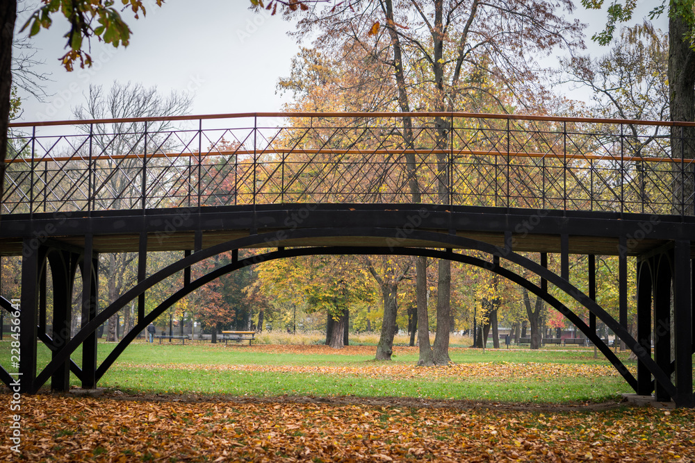 Bridge in the fall Bridge in the fall